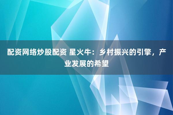 配资网络炒股配资 星火牛：乡村振兴的引擎，产业发展的希望