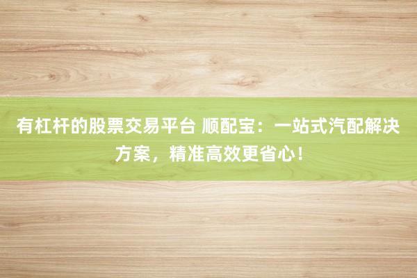 有杠杆的股票交易平台 顺配宝：一站式汽配解决方案，精准高效更省心！