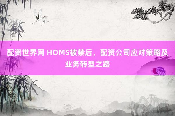 配资世界网 HOMS被禁后，配资公司应对策略及业务转型之路