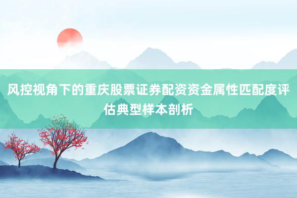 风控视角下的重庆股票证券配资资金属性匹配度评估典型样本剖析
